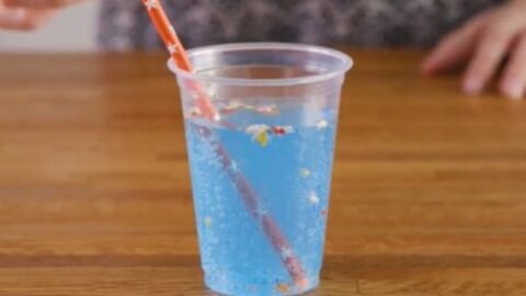 Healthy Jitter Juice Recipe With Sherbet