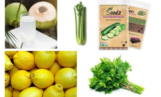 Kidney Detox Juice Recipe Ingredients