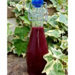 Blueberry Ghost Pepper Hot Sauce Recipe
