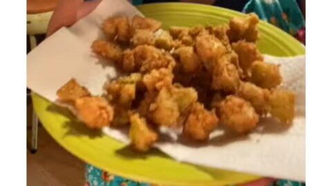 Brenda Gantt Fried Green Tomatoes Recipe