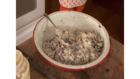 Brenda Gantt Chicken Salad Recipe