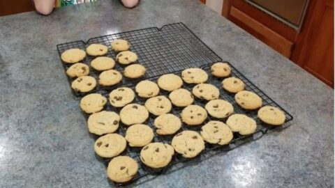 Great Value Chocolate Chip Cookie Recipe